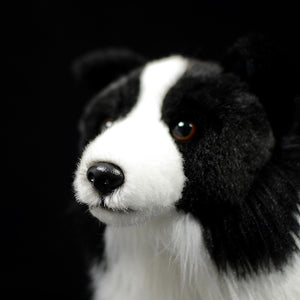 Border Collie Dog Soft Stuffed Plush Toy – Gage Beasley